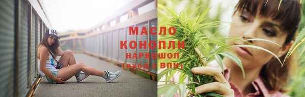 тгк Аркадак
