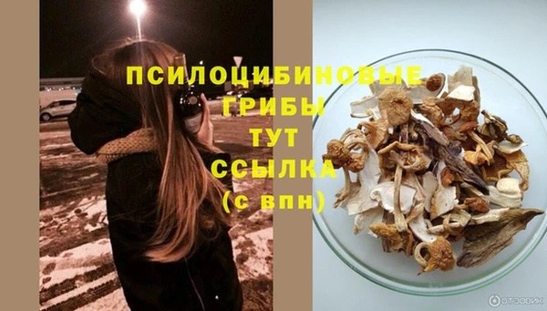 каннабис Арсеньев