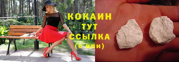 тгк Аркадак