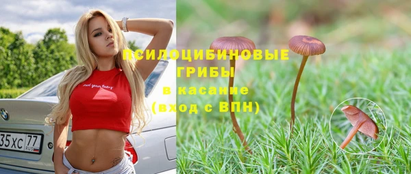 ПСИЛОЦИБИНОВЫЕ ГРИБЫ Армянск